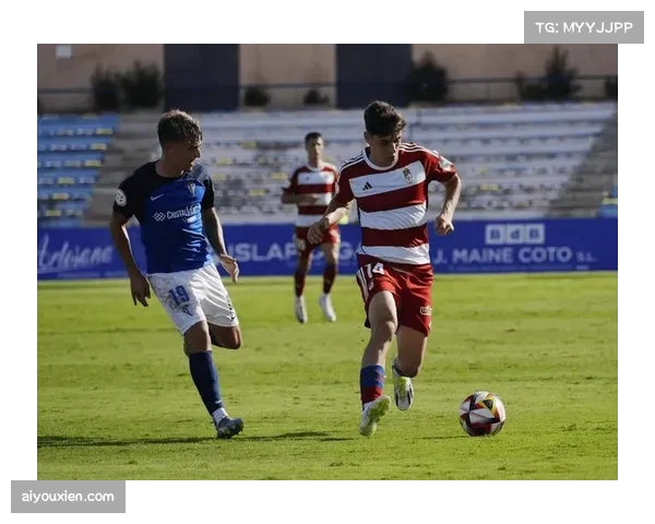 奥萨苏纳11次禁区内射门 进攻针对性明确且执行高效 奥萨苏纳11次禁区内射门 进攻针对性明确且执行高效